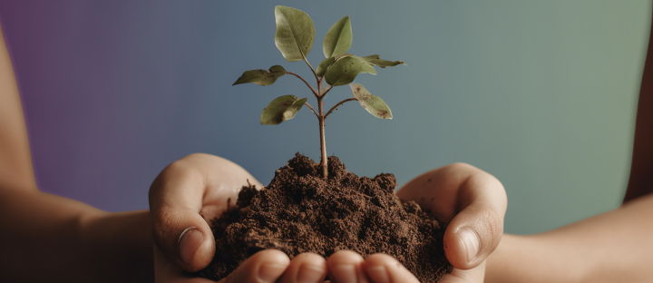 tree of hope 2025 banner image